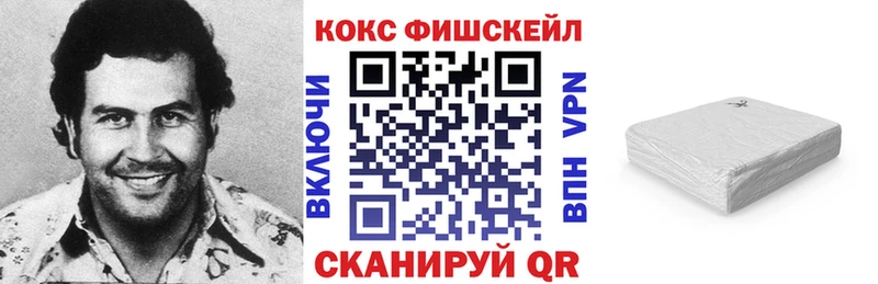 Купить где  Жирновск  Cocaine Fish Scale 