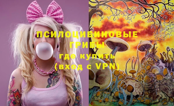 эйфоретик Елизово