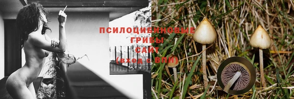 бутират Ельня
