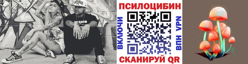 Псилоцибиновые грибы мицелий  Купить закладки  Жирновск 